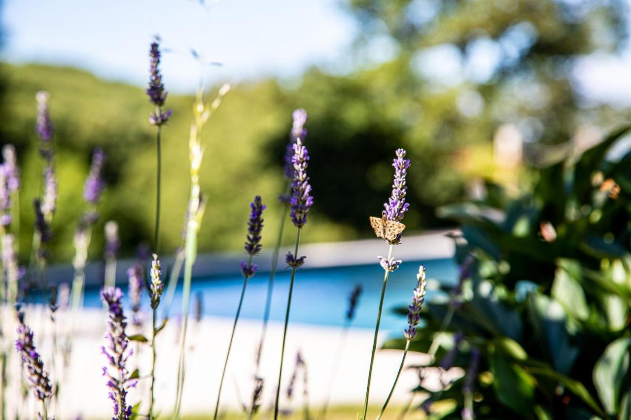 Bed and Breakfast Le Mas Des Roches Proche Puy Du Fou Saint-Paul-en-Pareds Экстерьер фото