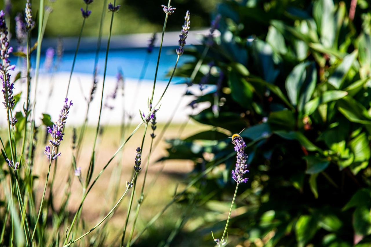 Bed and Breakfast Le Mas Des Roches Proche Puy Du Fou Saint-Paul-en-Pareds Экстерьер фото